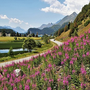 Sommer im Karwendel- und Wettersteingebirge