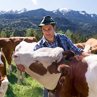 Bergbauer mit seinen Kühen