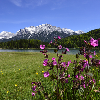 Frühling im Gästehaus Christina - Kraft der Natur und Berge tanken